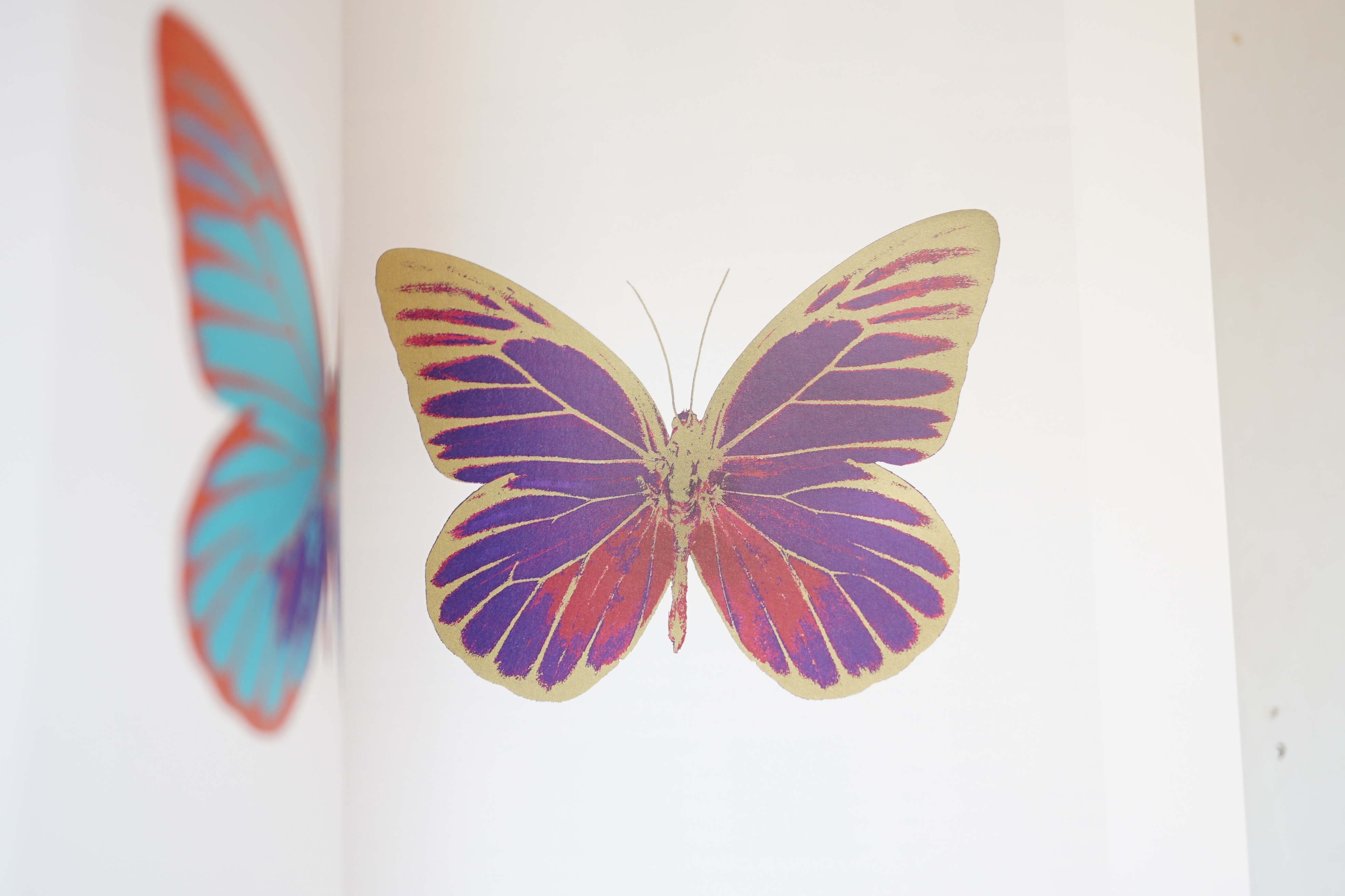 Hirst, Damien - The Souls I - IV, 1st edition, tall 8vo, publisher’s decorated full beige cloth, illustrated in colour throughout, including 4 metallic foil blocked printed leaves of plates, Other Criteria & Paul Stolper